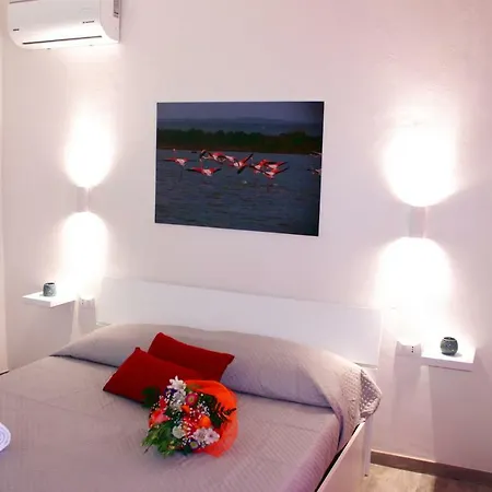 Sirio Marsala 비르지 베키